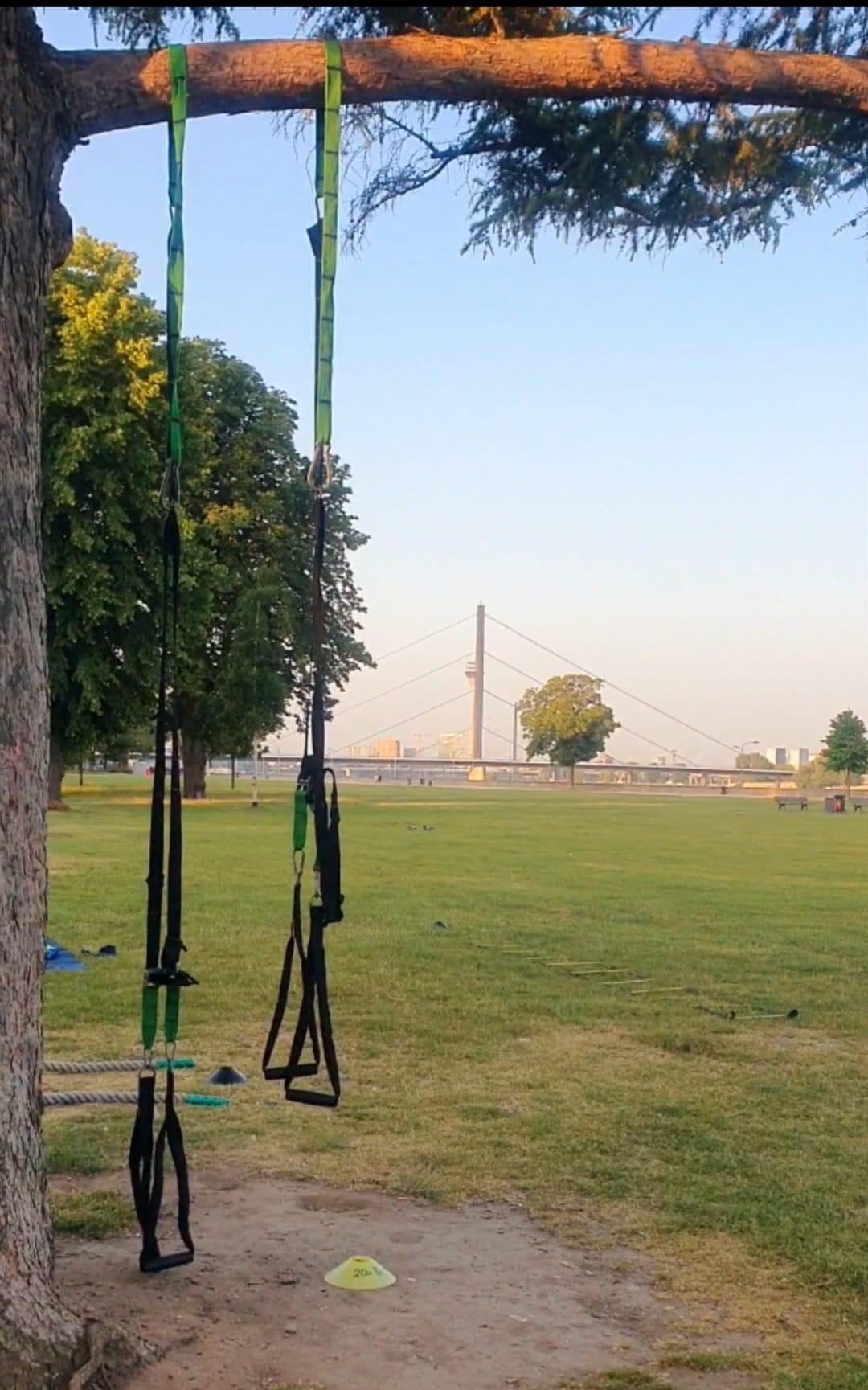 rheinpark-spielplatz-location-2