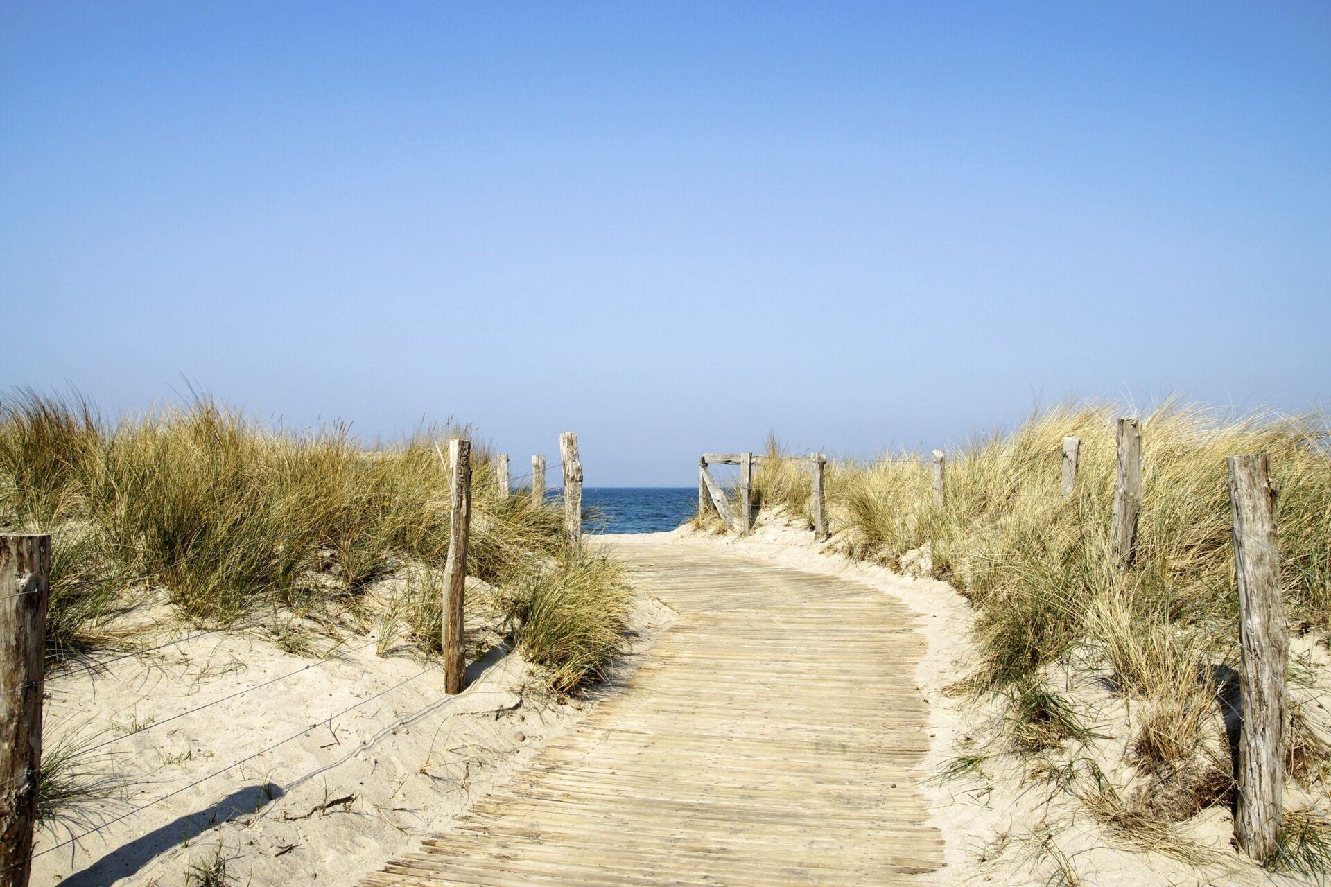 Blick über die Dünen auf die Ostsee