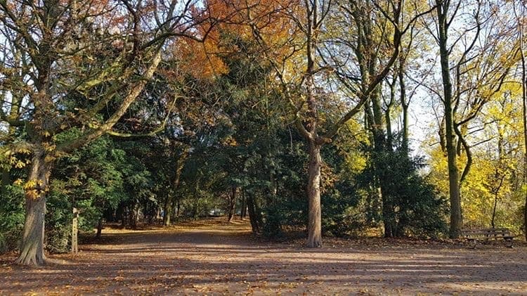 Outdoor Bootcamp Personal Training Gelsenkirchen