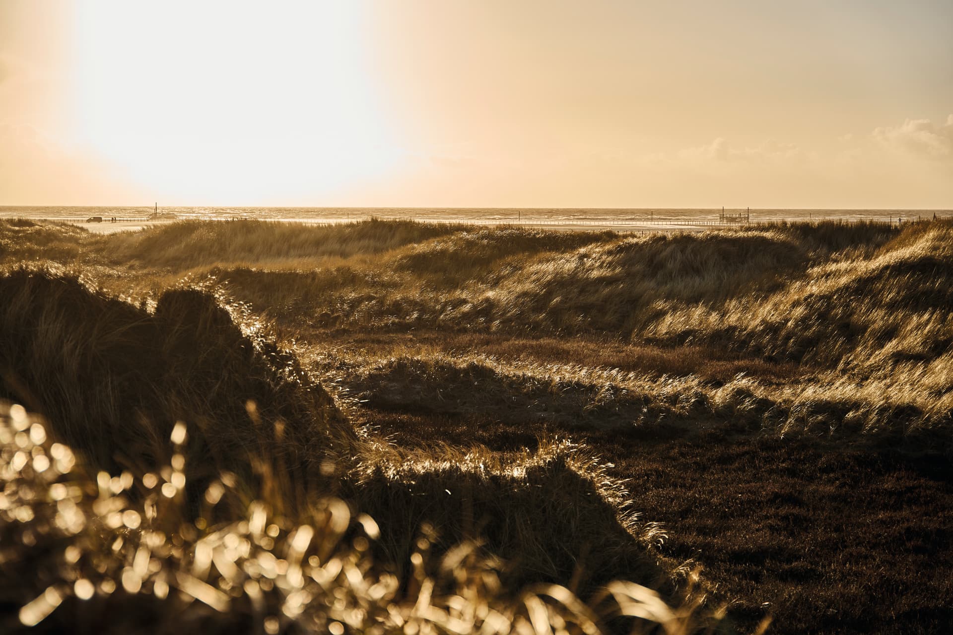 Strand beim Fitnessurlaub St. Peter Ording